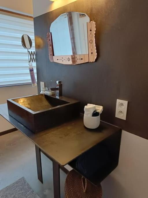 리에주 Loft, Parking Prive, Terrasse, Entree Independante 아파트 외부 사진